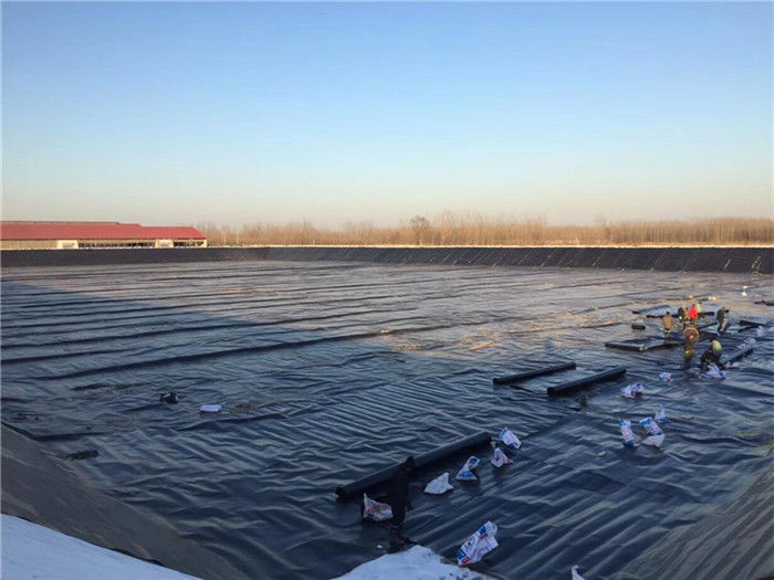 Anti-seepage HDPE geomembrane for fish ponds