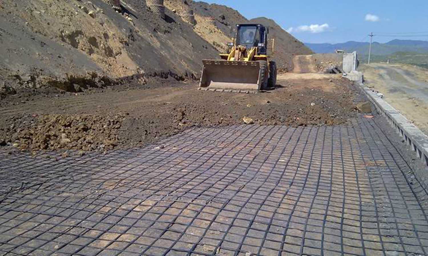 What is the main function of geogrid