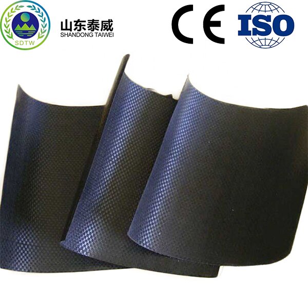 Special Geomembrane for Landfill Plants HDPE Geomembrane 