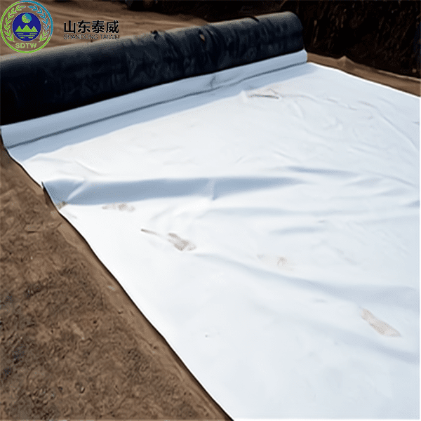 Staple Fibers Needled Punched Polypropylene Geotextile