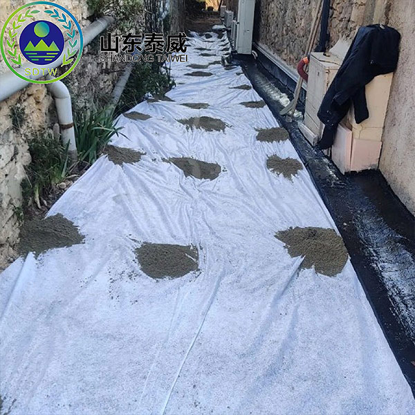 High Strength Road Stabilization Fabric Woven PET Geotextile