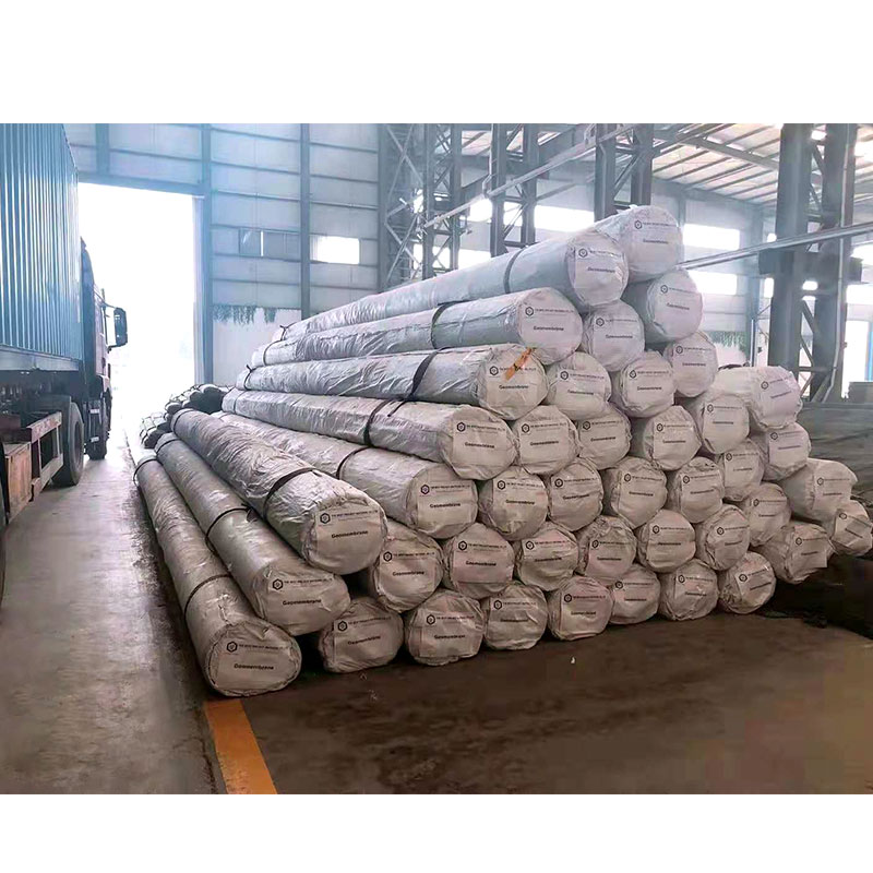 Filament Spunbonded Needled Non-woven Geotextile
